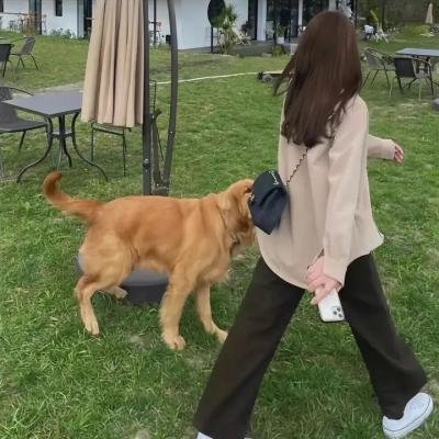 落跑天王