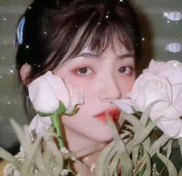 李天腾与赵小宝